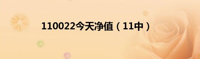 110022今天净值（11中）