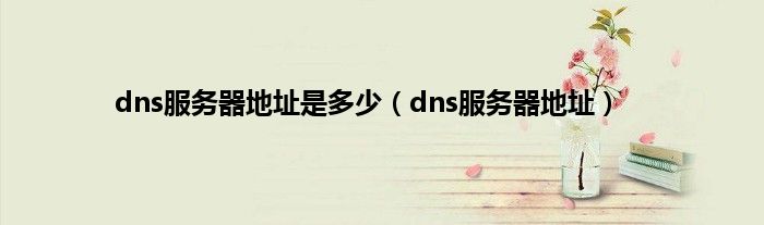 dns服务器地址是多少（dns服务器地址）