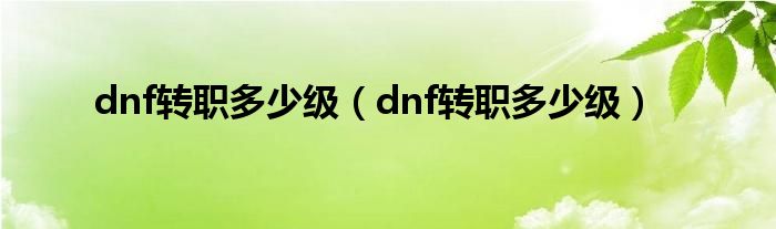 dnf转职多少级（dnf转职多少级）