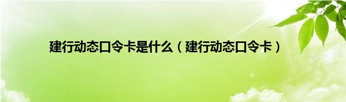 建行动态口令卡是是什么（建行动态口令卡）