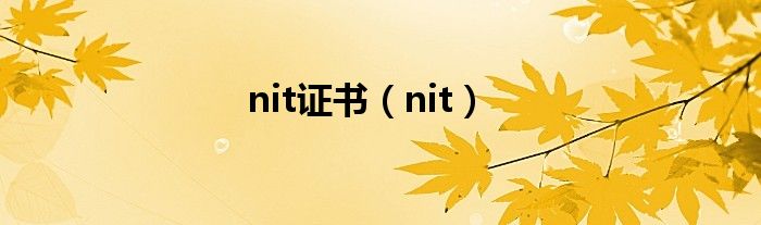 nit证书（nit）