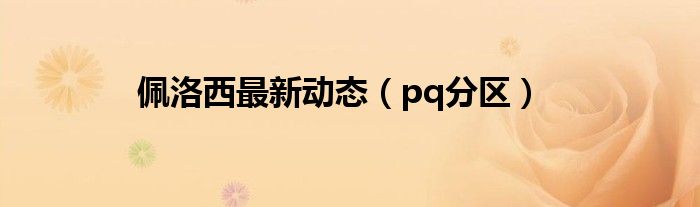 佩洛西最新动态（pq分区）