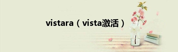 vistara（vista激活）