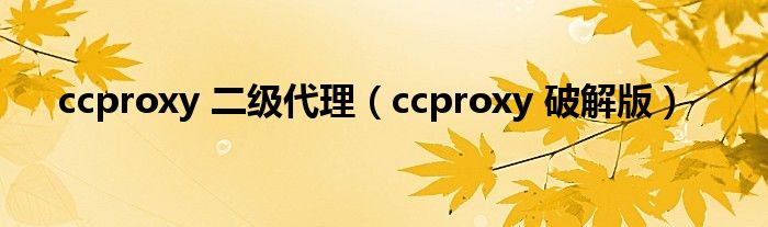 ccproxy 二级代理（ccproxy 破解版）