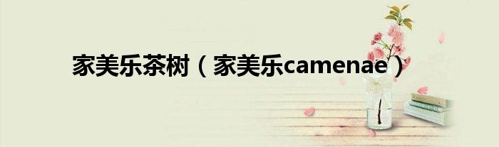 家美乐茶树（家美乐camenae）