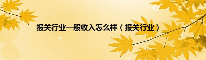 报关行业一般收入怎么样（报关行业）