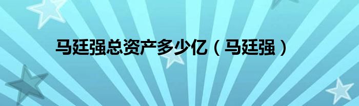 马廷强总资产多少亿（马廷强）