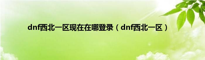 dnf西北一区现在在哪登录（dnf西北一区）