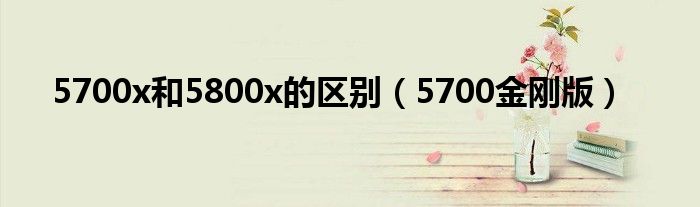 5700x和5800x的区别（5700金刚版）