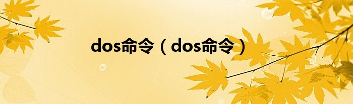 dos命令（dos命令）