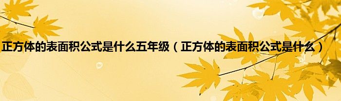 正方体的表面积公式是是什么五年级（正方体的表面积公式是是什么）