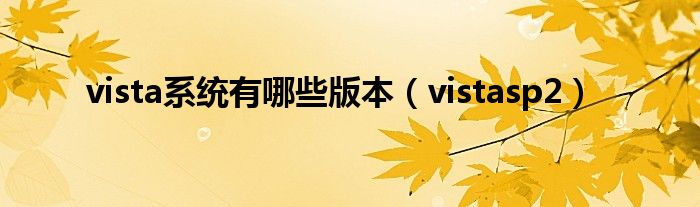 vista系统有哪些版本（vistasp2）