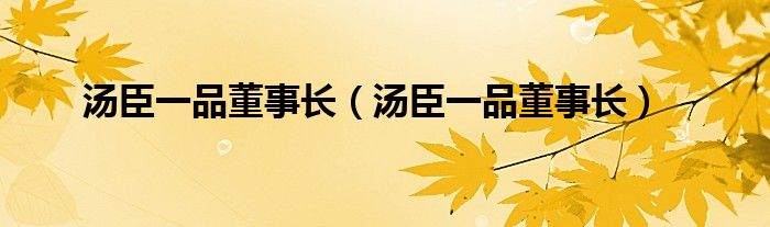 汤臣一品董事长（汤臣一品董事长）