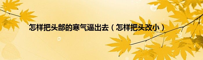 怎样把头部的寒气逼出去（怎样把头改小）