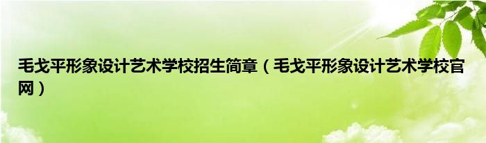 毛戈平形象设计艺术学校招生简章（毛戈平形象设计艺术学校官网）