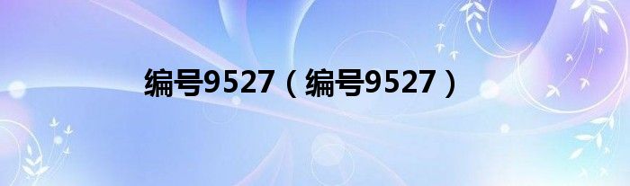 编号9527（编号9527）