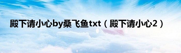 殿下请小心by桑飞鱼txt（殿下请小心2）