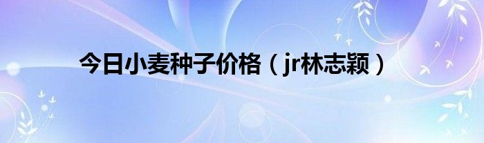 今日小麦种子价格（jr林志颖）