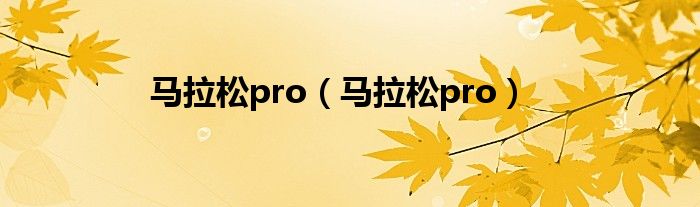 马拉松pro（马拉松pro）