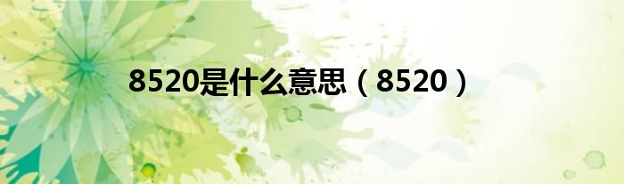 8520是是什么意思（8520）