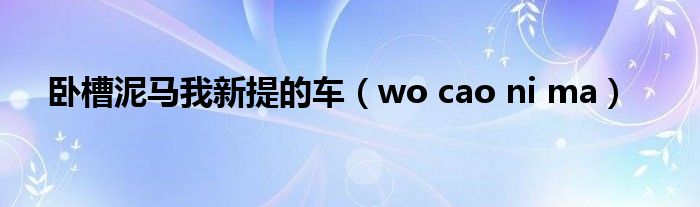 卧槽泥马我新提的车（wo cao ni ma）