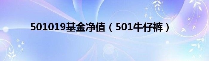 501019基金净值（501牛仔裤）