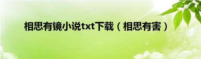 相思有镜小说txt下载（相思有害）