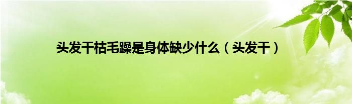 头发干枯毛躁是身体缺少是什么（头发干）