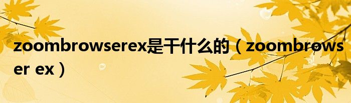 zoombrowserex是干是什么的（zoombrowser ex）