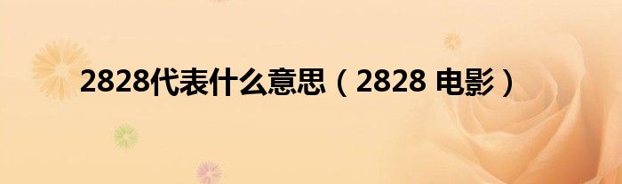 2828代表是什么意思（2828 电影）