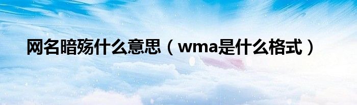 网名暗殇是什么意思（wma是是什么格式）