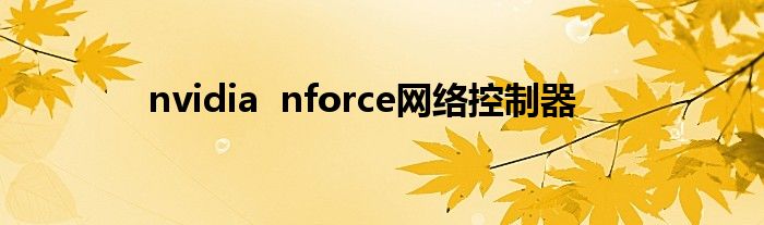 nvidia  nforce网络控制器