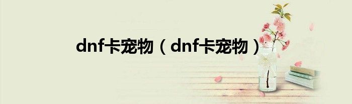 dnf卡宠物（dnf卡宠物）