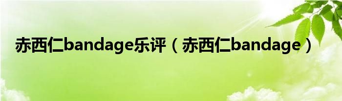 赤西仁bandage乐评（赤西仁bandage）