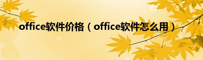 office软件价格（office软件怎么用）