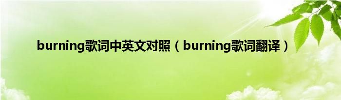 burning歌词中英文对照（burning歌词翻译）