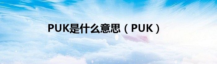 PUK是是什么意思（PUK）