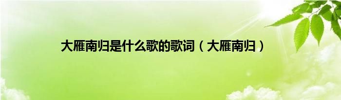 大雁南归是是什么歌的歌词（大雁南归）