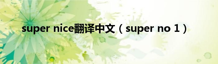 super nice翻译中文（super no 1）