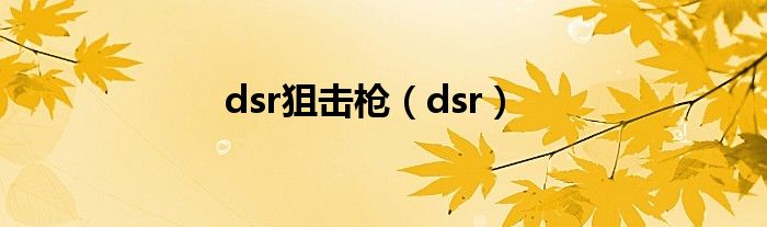 dsr狙击枪（dsr）