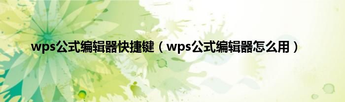 wps公式编辑器快捷键（wps公式编辑器怎么用）