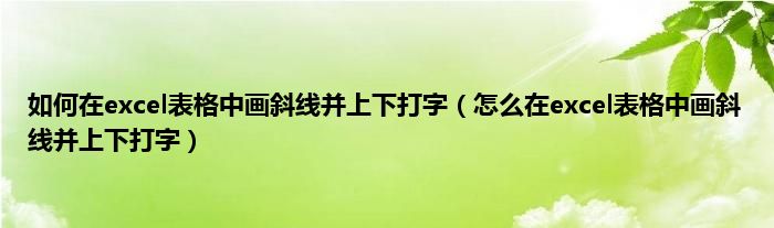 如何在excel表格中画斜线并上下打字（怎么在excel表格中画斜线并上下打字）