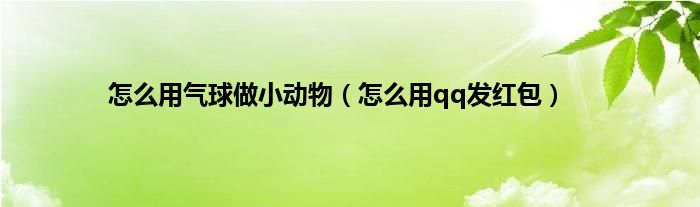 怎么用气球做小动物（怎么用qq发红包）