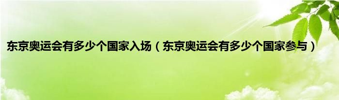 东京奥运会有多少个国家入场（东京奥运会有多少个国家参与）