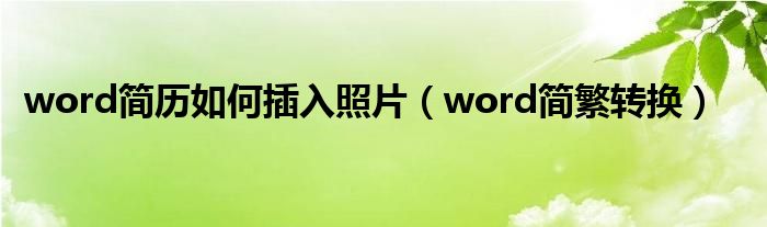 word简历如何插入照片（word简繁转换）