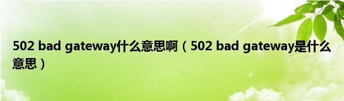 502 bad gateway什么意思啊（502 bad gateway是什么意思）