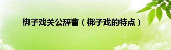 梆子戏关公辞曹（梆子戏的特点）