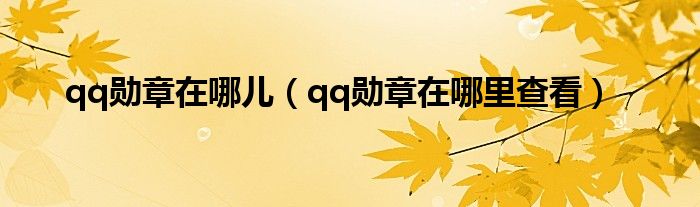 qq勋章在哪儿（qq勋章在哪里查看）