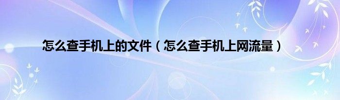 怎么查手机上的文件（怎么查手机上网流量）