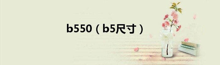 b550（b5尺寸）